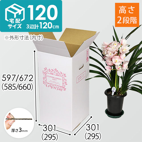 宅配120サイズ】フラワーギフトBOX（M・外箱のみ） | ダンボール・梱包