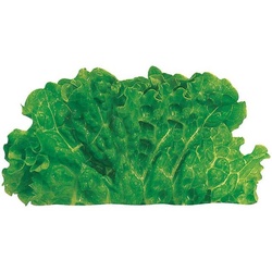 ユニバース フィルムシート グルメシート グリーンリーフ 丸