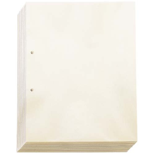 透明ポケット２穴　Ａ４　１００枚