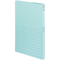 ケースファイル−ＦＳ色板紙Ａ４　青×５冊