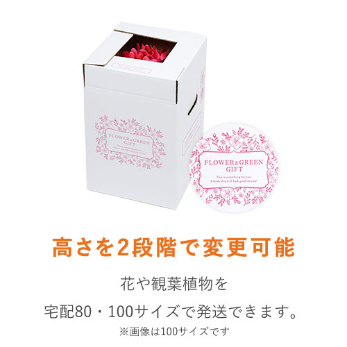 特徴2