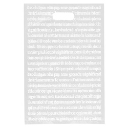 ポリ手提げ フレンチフロストPEバッグ-4(100枚) ヘッズ