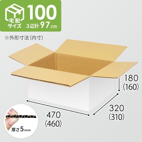 【宅配100サイズ】小箱ぴったり梱包用ダンボール箱［SBOX-02・6箱］（460×310×160mm）5mm A/F 白C5×C5