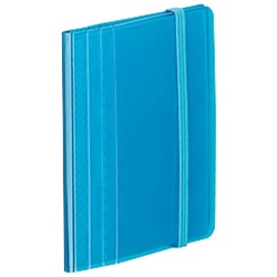 カードホルダー＜ノビータ＞ミニタイプ水色×１０冊