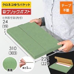 【青菜色】厚さ2.5cm・テープレスケース（A4サイズ・ネコポス・クリックポスト）