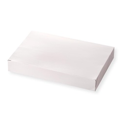 仕出し弁当容器 TSA-90-60 白 ワンピース アヅミ産業