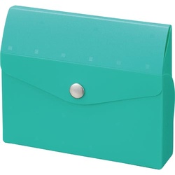 ＣＵＢＥ　ＦＩＺＺ　カードケース２０枚用　緑　３個