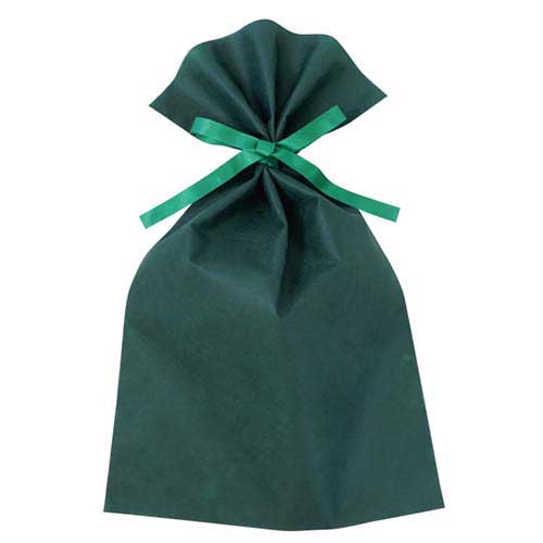 ソフトバッグベーシック2穴リボン巾着 S6 厚 グリーン