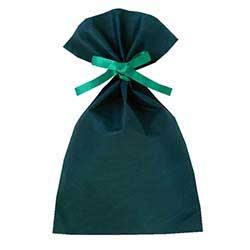 ソフトバッグベーシック2穴リボン巾着 S5 薄 グリーン