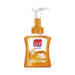 ミューズ泡ハンドフルーティフレッシュ本体２５０ｍｌ