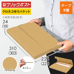 【ベージュ色】厚さ2.5cm・テープレスケース（A4サイズ・ネコポス・クリックポスト）