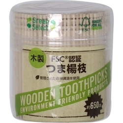 店舗備品 F1 Green Select つま楊枝 650本 大和物産
