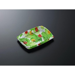 中央化学 軽食容器 CT デリモア15-11AサラダCK 本体