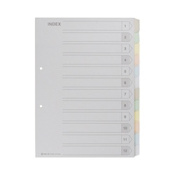 カラーインデックス　Ａ４縦　２穴　１２山　１組