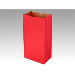 角底袋 ハイバッグ H6 ルージュ パックタケヤマ