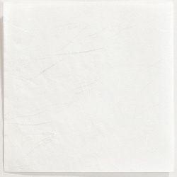 パン袋 P-166 雲竜 二方開袋 福重