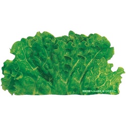 ユニバース フィルムシート グルメシート 抗菌グリーンリーフ 丸