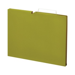 個別フォルダー＜ＮＥＯＳ＞Ａ４　１５ｍｍ　緑