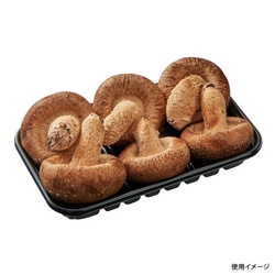 中央化学 フルーツ容器 椎茸 3号L BK