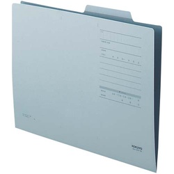 個別フォルダーＦタイプカラーＡ４　青　１００枚