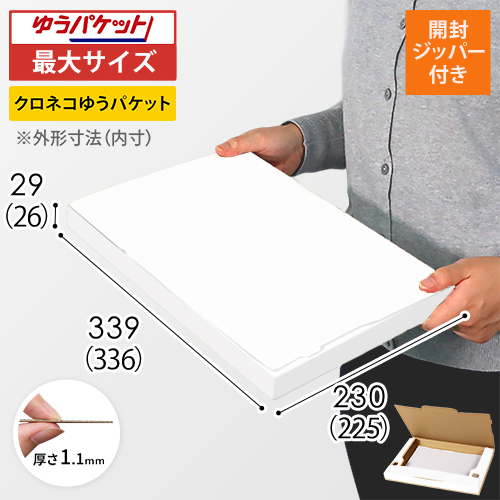 クリックポスト・ゆうパケット最大】厚さ3cm・ジッパー付きケース（白