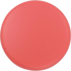 カラーマグネット　レッド　５個