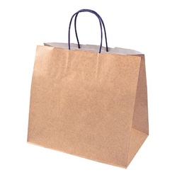 手提げ袋 ジ・アース M 石渡