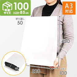 宅配袋 L（白・ テープ付き）