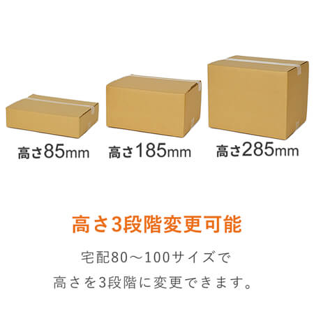 サイズ