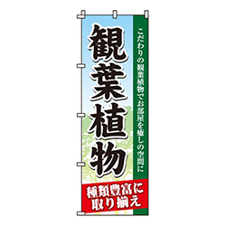 観葉植物