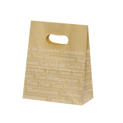 パックタケヤマ 紙手提袋 イーグリップ S フランセ