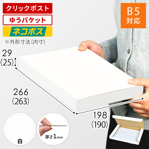 ネコポス・クリックポスト・ゆうパケット】厚さ3cm・N式ケース（白・B5