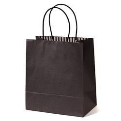 紙手提袋 STカラーズ アッシュブラック パックタケヤマ
