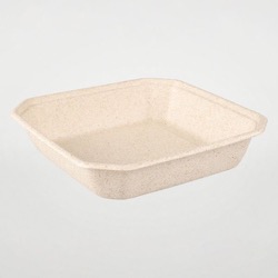 パックスタイル バガス容器 WBフルーツ 4L