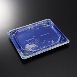 中央化学 刺身容器 BCF 宝台 20-17 渚B-BK 本体