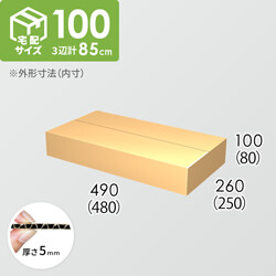 【宅配100サイズ】ダンボール箱(480×250×80) 5mm A/F K5×K5