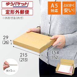 【廃番商品】【とにかく安い】厚さ3cm・ヤッコ型ケース（A5サイズ・ゆうパケット・クリックポスト）