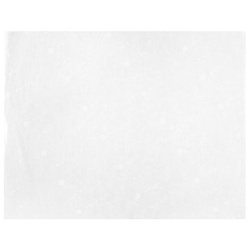 焼き・蒸し用シート 丸大セパレーツシート390×500 福重