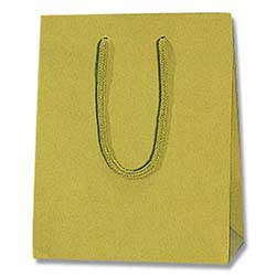 手提げ紙袋（青菜 塗工・アクリル紐・幅200×マチ120×高さ250mm）