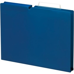 個別フォルダー＜ＮＥＯＳ＞Ａ４　３０ｍｍ紺１０冊