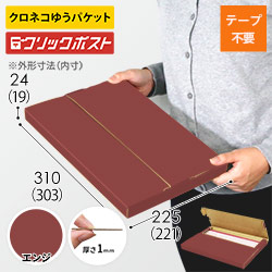 【エンジ色】厚さ2.5cm・テープレスケース（A4サイズ・ネコポス・クリックポスト）