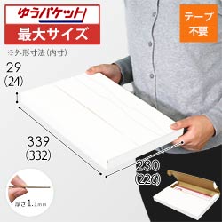 【ネコポス・クリックポスト・ゆうパケット】厚さ3cm・テープレスケース（白・A4サイズ）