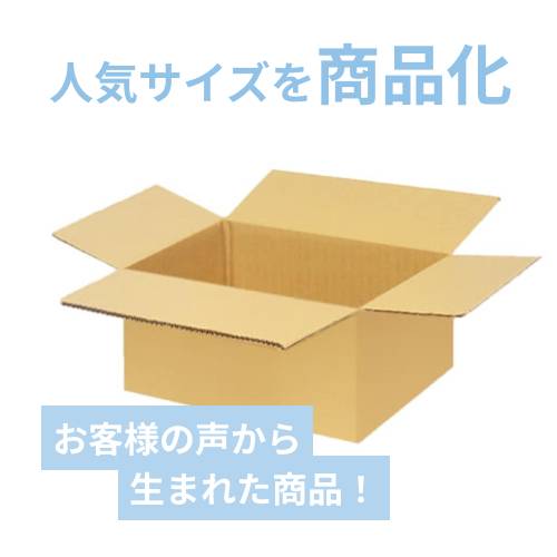 宅配100サイズ】ダンボール箱（400×300×100mm）3mm B/F C5×C5 