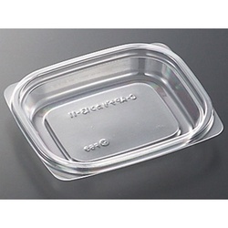 中央化学 軽食容器 C-AP デリカン 13-11 本体