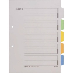 カラーインデックス　Ａ４タテ（２穴）×１０