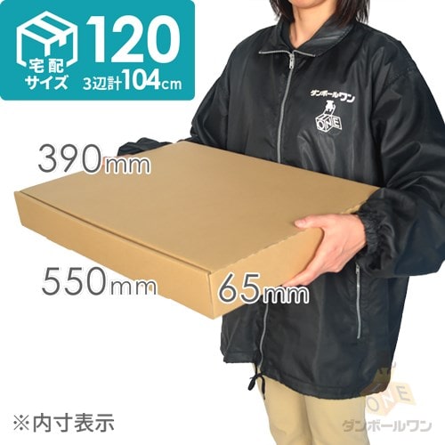 サイズ