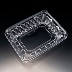 リスパック サラダ容器 バイオ アソートケース 24-20B(48) 本体