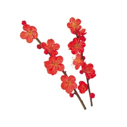 ユニバース フィルムシート グルメシート 梅 丸