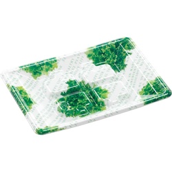 発泡トレー RSA13-18(M) フレッシュレタス エフピコ