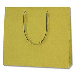 【廃番商品】手提げ紙袋（青菜 塗工・アクリル紐・幅330×マチ100×高さ290mm）